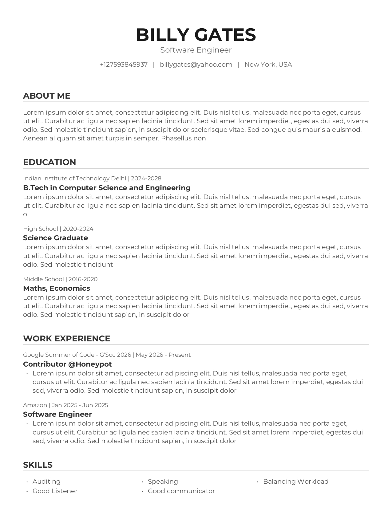 Professional Resume Template preview