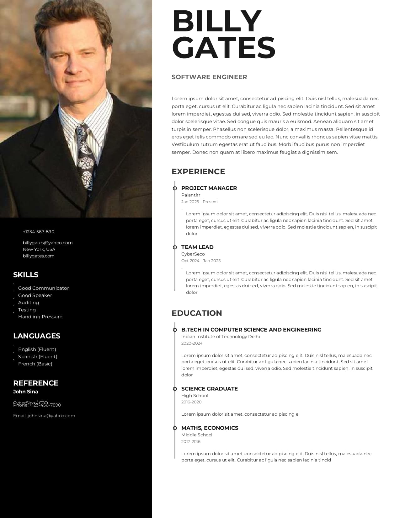 Modern Executive Resume preview