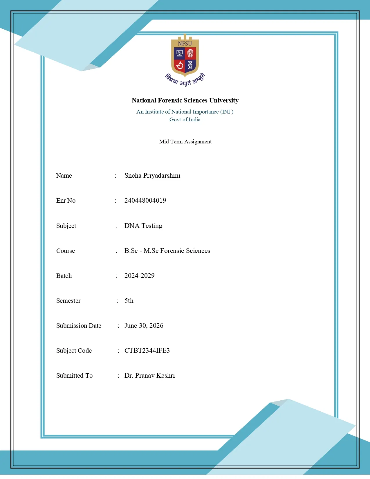 Blue White Border assignment cover template preview